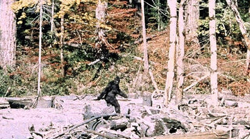 Top 5 Bigfoot Hunting Guns