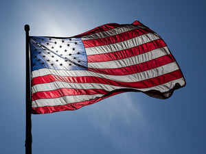 The Vital Role of Patriotism: A Unifying Force in Society