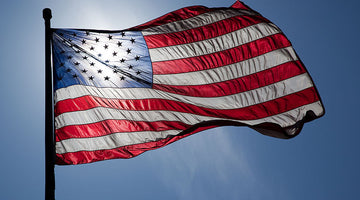 The Vital Role of Patriotism: A Unifying Force in Society